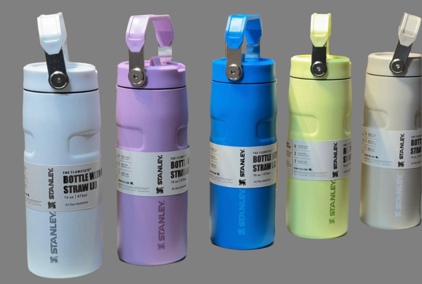 Stanley Bottle with Straw Lid