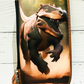 Dinosaur Pouch