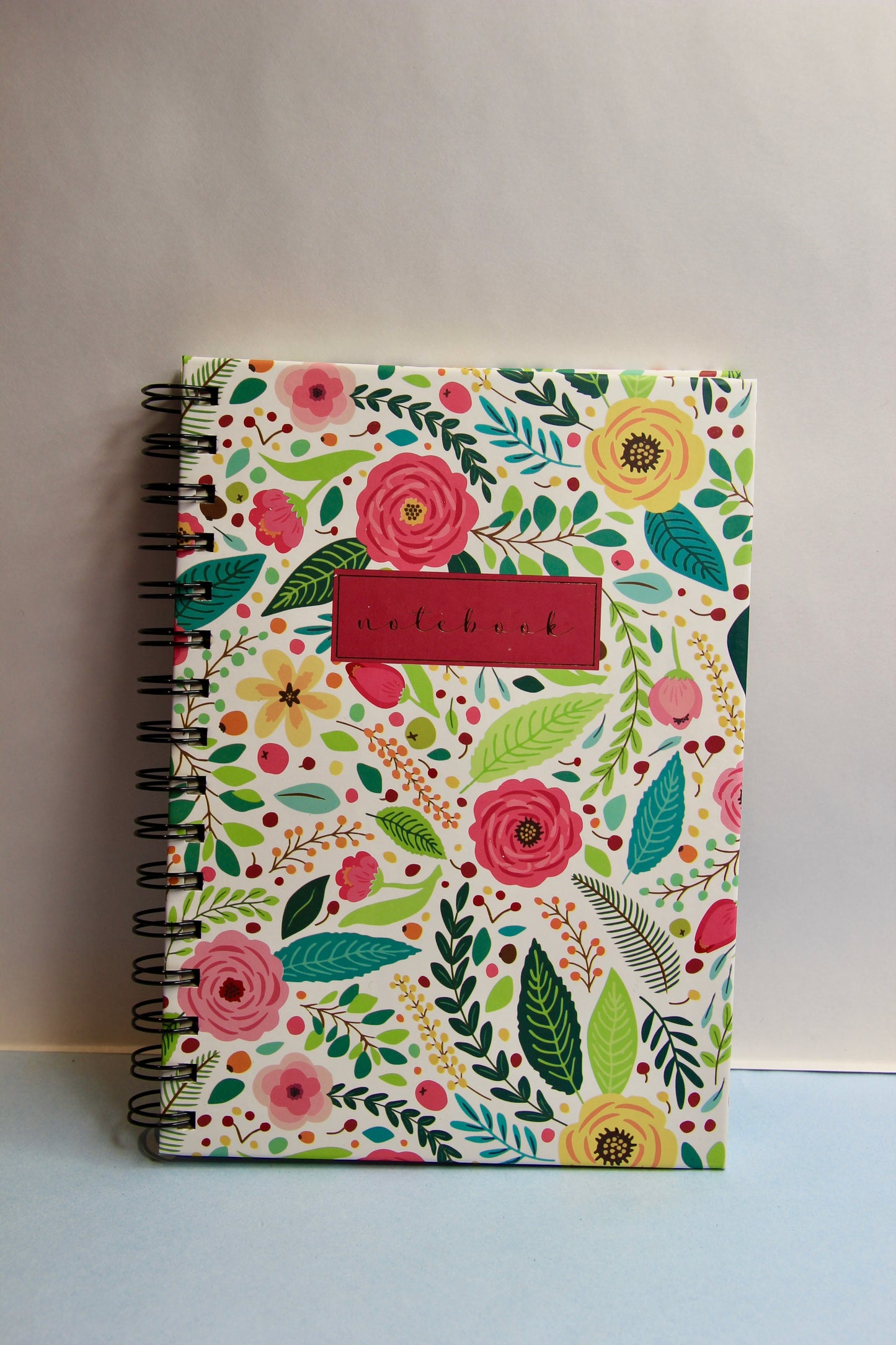 Quirky Diary A5 Size