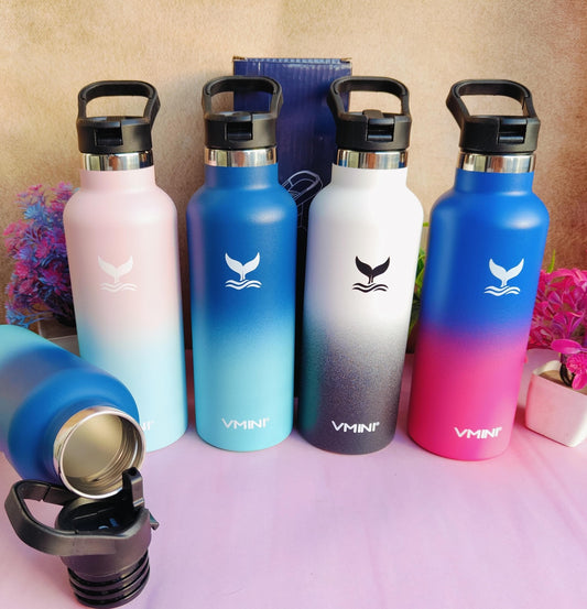 Stylish Stainless Steel Sipper